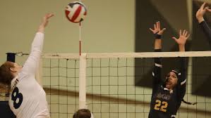 AAC volleyball: Milligan eliminated in quarterfinals