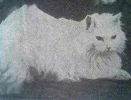 eski turkiye ye ait icinizi isitacak 26 fotograf fotograf sultan tarih
