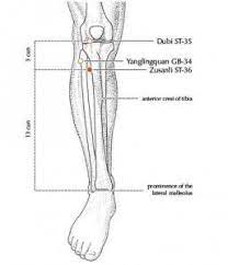 Neurokinetics Clinic Concussion Trauma Disability Pain And Injury Treatments