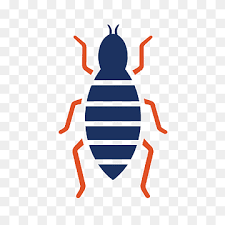 Bill's pest termite control helps residential and commercial property owners tackle their pest control and termite treatment problems with the best solutions. 1st Pest Control Png Images Pngwing