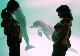 Ist der errechnete geburtstermin überschritten, wird sich dein arzt mit dir in. Mit Hausmittelchen Die Geburt Einleiten Ist Das Sinnvoll Tageswoche