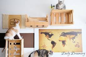 Enthalt Werbung Wohnungskatzen Richtig Halten Diy Kletterwand Aus Alten Weinkisten Katzen Kletterwand Kletterwand Alte Weinkisten