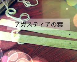 インドのアガスティアの葉は本物なのか 探しに行ったら詐欺にあったって話 笑 Izuru00の日記