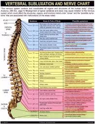 Does The Vertebral Subluxation And Nerve Chart Used By