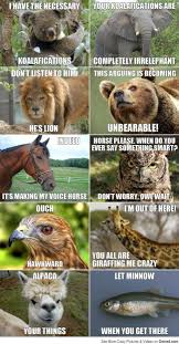 Animal Meme Conversation Funny Animal Jokes Animal Jokes Funny Animals