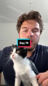 Teaching My Cat a New Trick