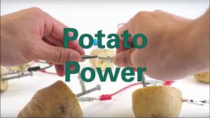 These will act as the positive and. Potato Power Youtube