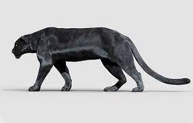 Free 3ds max models free obj 3d models free maya 3d models free cinema 4d models free blender 3d models free sketchup 3d models. Buy Professional 3d Models Cgtrader