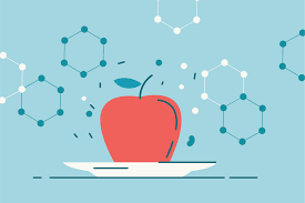 Asians have a total transit time of only 20 to 30 hours, which could be due to their higher intake of fiber and spicy foods. Are Stewed Apples Good For Gut Healing