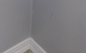 We did not find results for: How To Match Paint On Walls In 10 Minutes Or Less