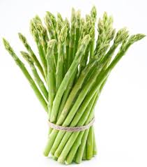 Image result for Asparagus pendulus