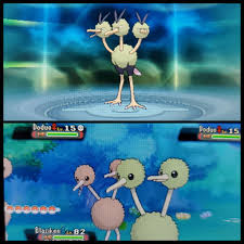 Shinydodrio 92 Horde Encounters Pokemonoras Shinypokemon In 2020 Pokemon Oras Shiny Pokemon Pokemon