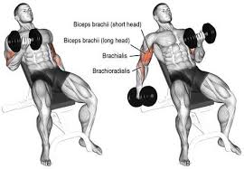 Pin On Workout