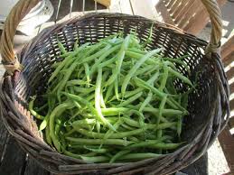 Les Meilleures Recettes De Haricots Et Beurre 4