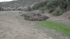 I was driving on the road, and i couldn't see the flood at all, or else i would have turned around and. Https Bit Ly 2nno379 Discover His Secret Obsession Now Flash Flood In A Culvert Funny