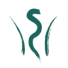 Aceclofenac 100mg + paracetamol 325 mg: Replek Farm Ltd Linkedin