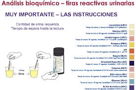 Densidad, ph, glucosa, proteínas, sangre, cuerpos ce tónicos. Valoracion De La Funcion Renal