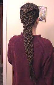 Braids Crazycrazy Braids Braided Hairstyles Long Hair Styles Hair Styles