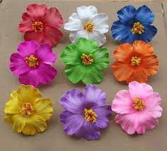 We did not find results for: Flower 60pcsfree Shipping Mixed Colors Foam Hawaiian Flower Hibiscus Flower Bridal Hair Clip 9cm You Pick Flower Jewelry Flower Pattern Cut Out Jewelry Stoneflower Girl Pearl Jewelry Aliexpress
