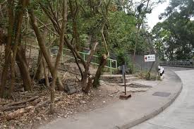 Search for text in url. ç…å­å±±è¡Œå±±è·¯ç·š æ¨‚å¯Œæ¸¯éµç«™è¡Œå…©å°æ™‚ç™»é ‚è½é»ƒå¤§ä»™è¦½ä¹é¾å…¨æ™¯ä½†å°å¿ƒæ‹ç…§