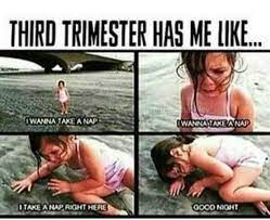 39 Hilarious Pregnancy Memes To Help You Get Through Every Trimester