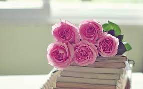 Rose images hd flower images free free images heart images flower photos red and white roses red roses plantar rosales plant background. Five Pink Rose Flowers Rose Flowers Bouquet Books Hd Wallpaper Wallpaperbetter