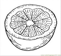 Peeled ornage and slice coloring page | download free peeled ornage and slice coloring page for kids. Orange 7 Coloring Page For Kids Free Oranges Printable Coloring Pages Online For Kids Coloringpages101 Com Coloring Pages For Kids