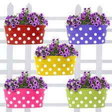 Check spelling or type a new query. Trustbasket Dotted Oval Railing Planters Multicolour Pack Of 5 Amazon In Garden Outdoors
