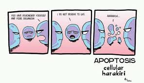 If your friend is a gardener or a plant mom/dad, use one or more of these plant puns in your decorations. Cell Puns