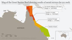 (with images) | great largest ever coral die off confirmed on great barrier reef. Study Values Great Barrier Reef In The Billions News Dw 26 06 2017