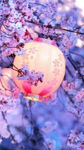 Free latest hd wallpapers for desktop pc, ipad, iphone, android phone Cherry Blossom Wallpaper Nawpic