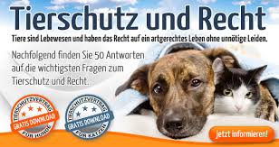 Du möchtest lieber dein eigenes suchplakat erstellen? Aktuelle Ratgeber Kostenlose Rechtsfragen Zum Tierschutz