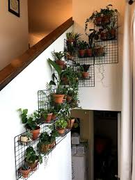 Plant Wall Plant Decor Indoor House Plants Decor Plant Decor