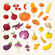 We did not find results for: Colorful Fruit And Vegetables With Names Stock Vector Illustration Of Food Names 112036586
