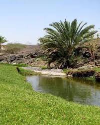 🌳🌳 وادي خضرة هو وادي بالمملكة العربية السعودية كرمه الله بأن غير رسول الله عليه الصلاة والسلام اسمه من وادي غبره إلى وادي خضرة فأصبح اسم على مسمى تملئه خضرة دائمة طول