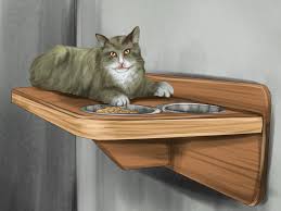 Outdoor cat shelters and feeding stations. How To Choose The Right Place To Feed Your Cat 7 Steps