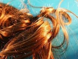 Acupressure is an ancient technique that can effectively control baldness, help with new hair growth and stop hair loss. Treating Alopecia With Acupuncture A Case Study Sally Kean Hammerson Acupuncture Wimbledon London