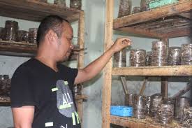 Check spelling or type a new query. Warga Winduhaji Ini Sukses Budidaya Kroto Dengan Media Toples Radarcirebon Com