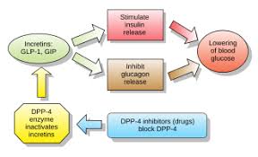 Image result for Gliptin