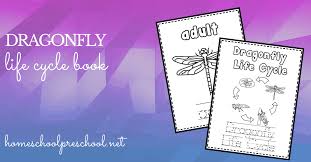 Lily and dragonfly coloring page. The Life Cycle Of A Dragonfly Coloring Book