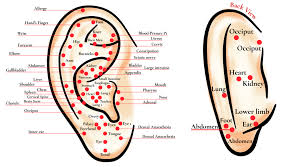 71 Organized Ear Reflexology Chart Download