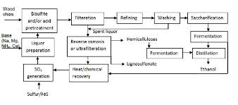 Production Of Biofuels From Cellulose Of Woody Biomass