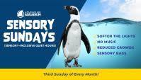 Sensory Sunday at Adventure Aquarium