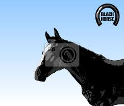 Die unverschämte chefin vom schwarzen hengst erzogen downloade das hörbuch gratis. Schwarzer Hengst Schwarze Hengst Auf Hintergrund Des Blauen Leinwandbilder Bilder Schnelles Pferd Nasenloch Hauslich Myloview De