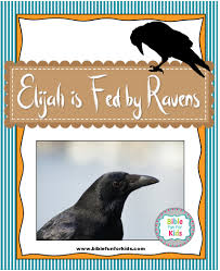 Use this elijah and the ravens coloring page whenever you are teaching a sunday school lesson about when god fed elijah with the ravens. Elijah Fed By Ravens Bible Fun For Kids