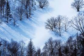 Check spelling or type a new query. 3 Ways To Capture Compelling Images Of Monochromatic Winter Scenes
