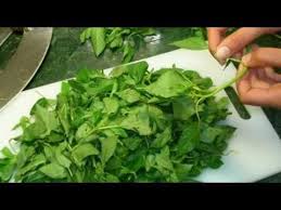 طريقة عمل ملوخية لبنانية Arabic Food Vegetables Food