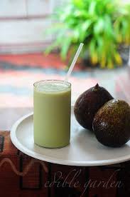 Avocado Milkshake Recipe Milkshake With Indian Butter Fruit Avocado Milkshake Milkshake Recipes Milkshake