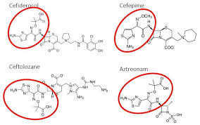 Image result for Cefiderocol