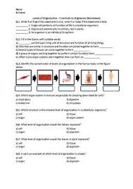 Cells, tissue, organs, organ systems, and organisms. This Worksheet Contains Basic Conceptual Questions About Levels Of Organization From Cells Life Science Middle School School Worksheets This Or That Questions